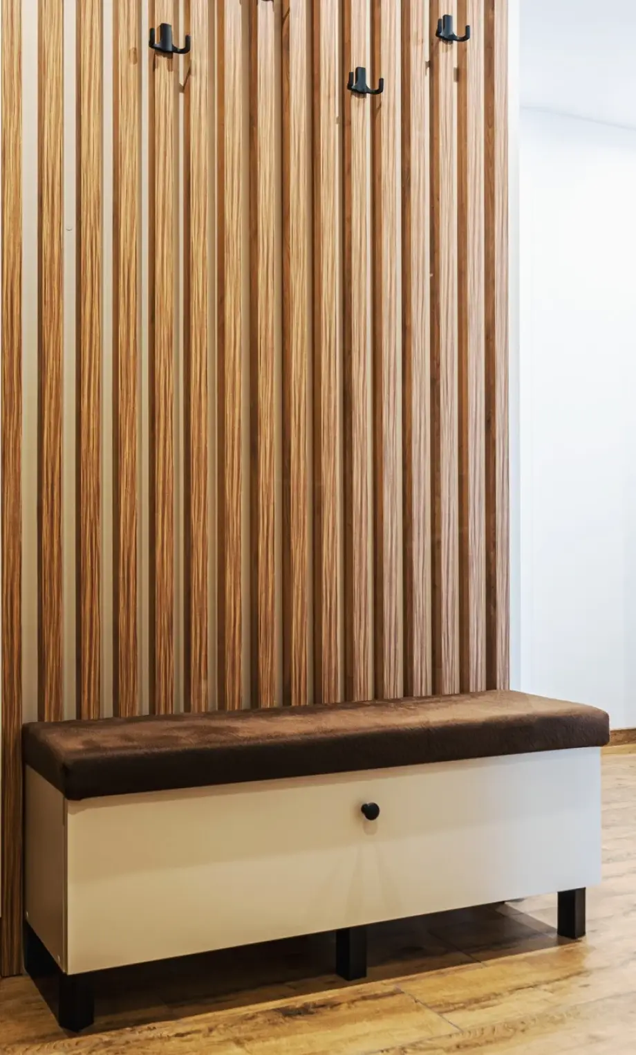 zabudowa-przedpokoju(4)